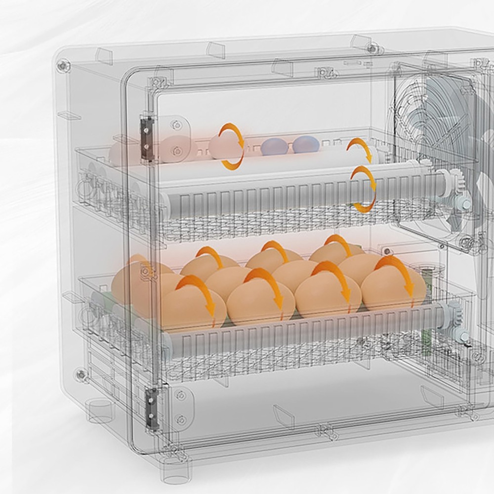 50W Fully Automatic Egg Incubator Egg Hatching Brooder Auto Hydration Flipping