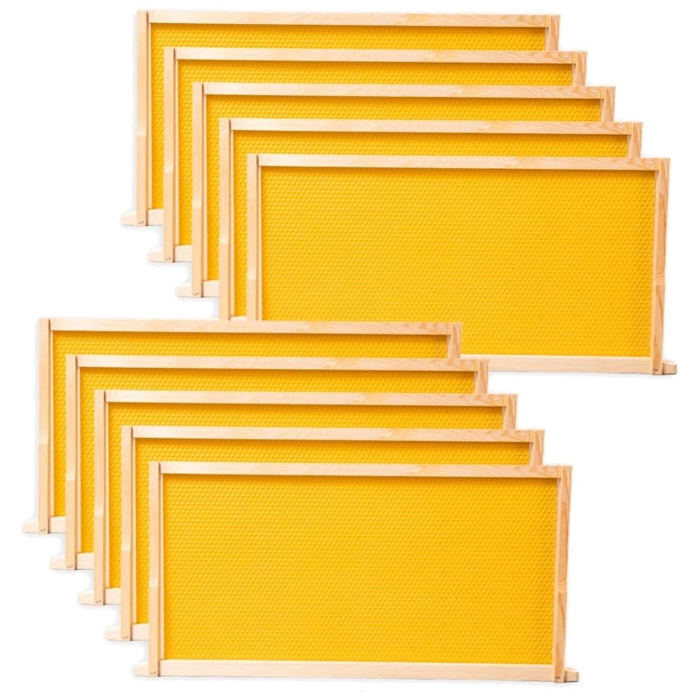 10-Pack Beeswax Coated Beehive Frames for Deep Brood Boxes - Easy Assembly
