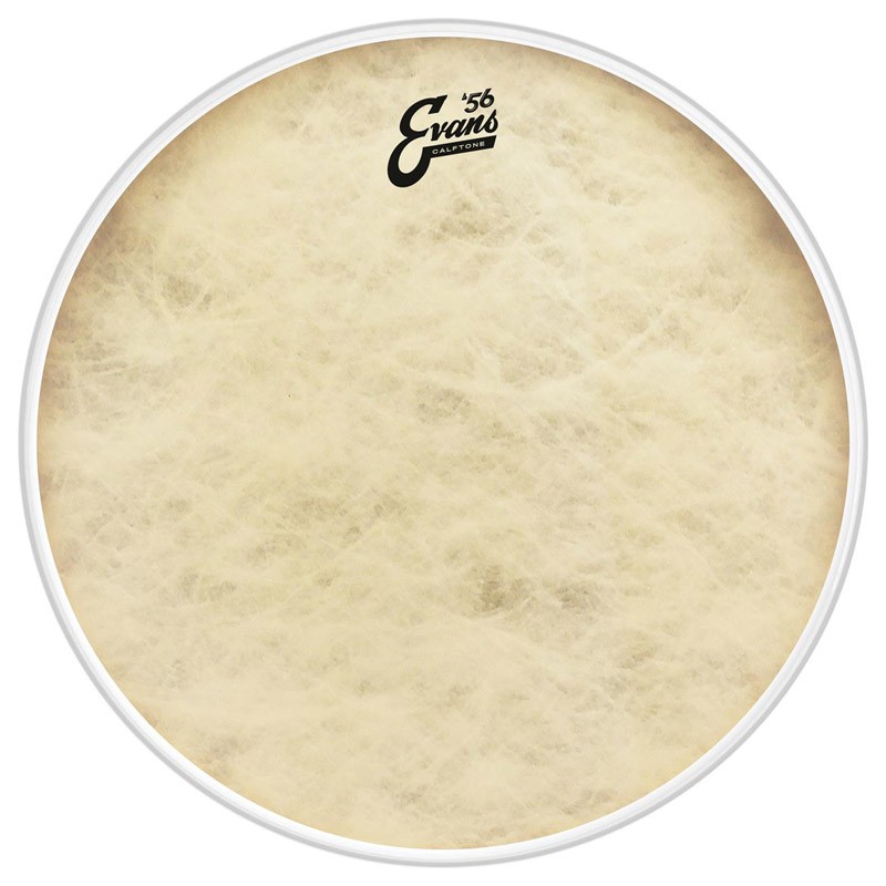 Evans Calftone Tom Batter Drum Head, 14 Inch (NEW)