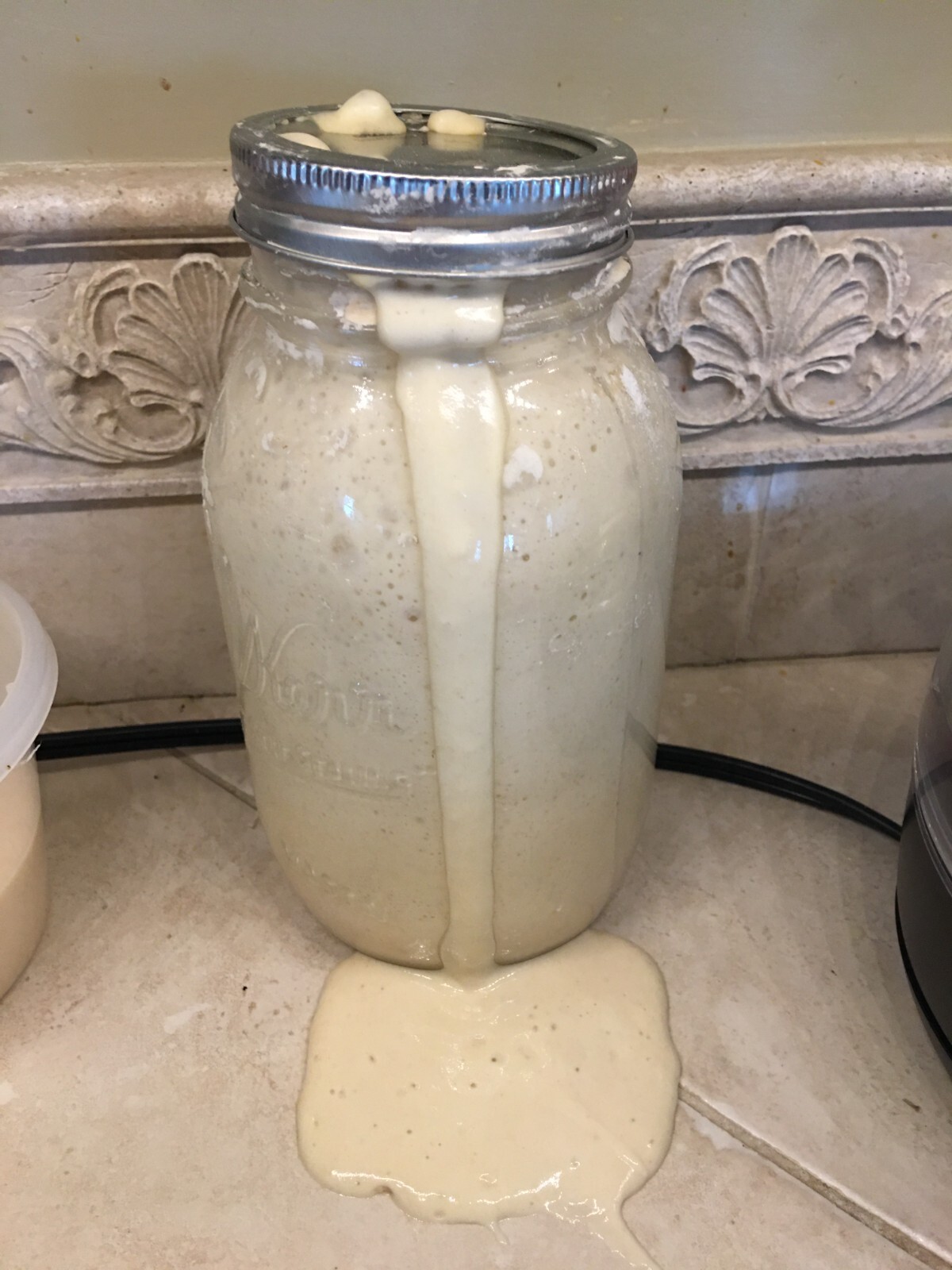 Bavarian "Black Death" Sourdough Starter YEAST 400 Year-Old History ACTIVE SOUR