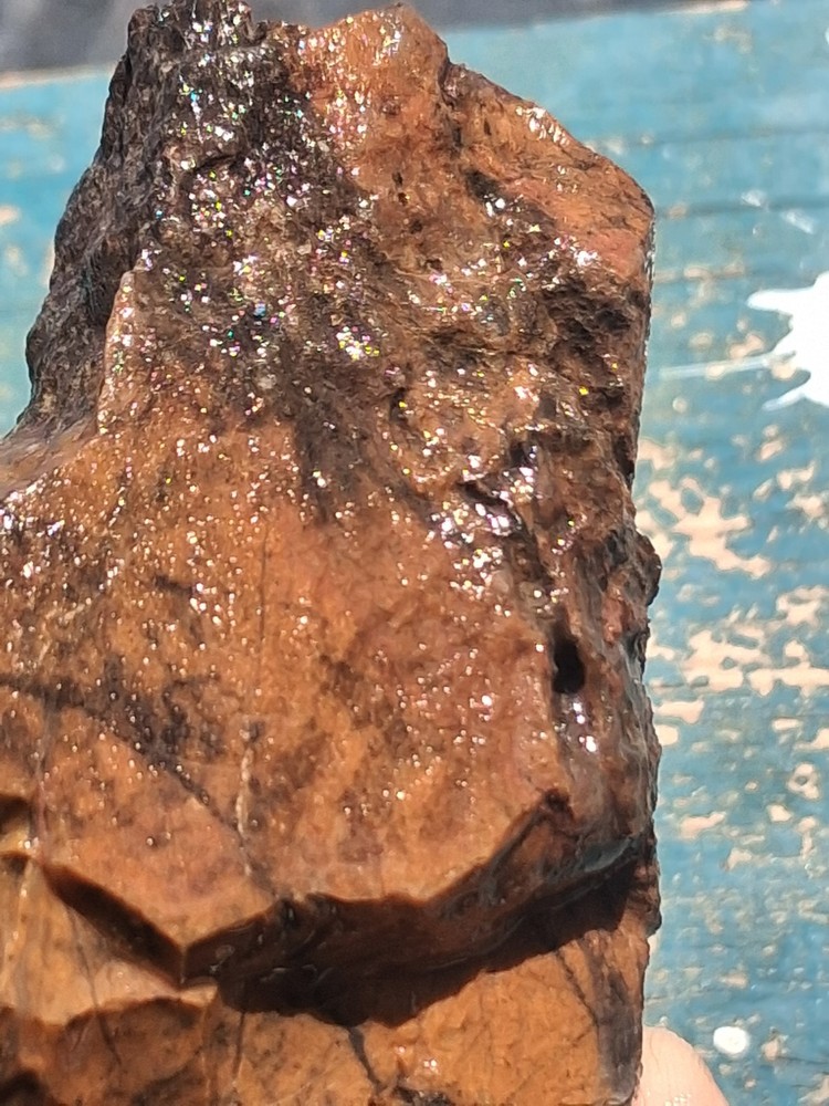 Jasper Rough Specimen Display Collect Slab Or Cab