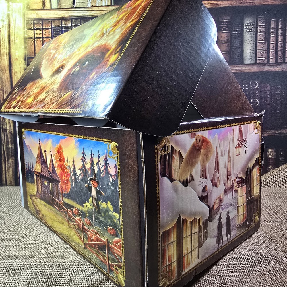 **EMPTY** Litjoy Magical Take Me Home Subscription Box for Artwork & Storage
