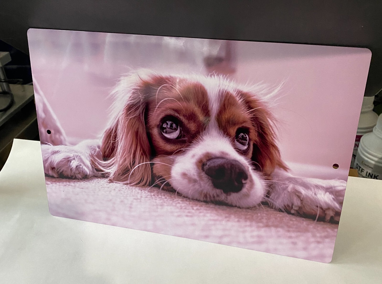 Personalized 8" x 12" Aluminum Metal Sign Customize with Text or Picture