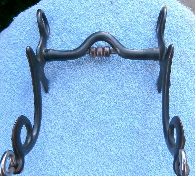 Gary Avila Seven Cheek Silver Stars Centennial Iron Horse Bit