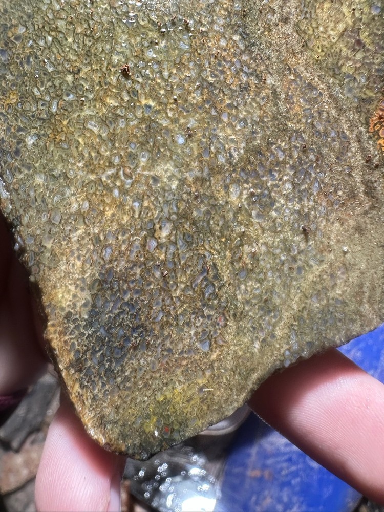 Dinosaur bone rough **hxtled slab.