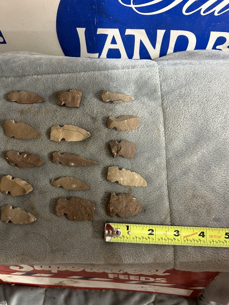 15 Piece Arrowhead Collection Assortment