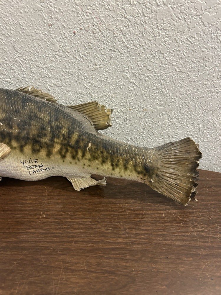 20” Large Bass Fish Mount