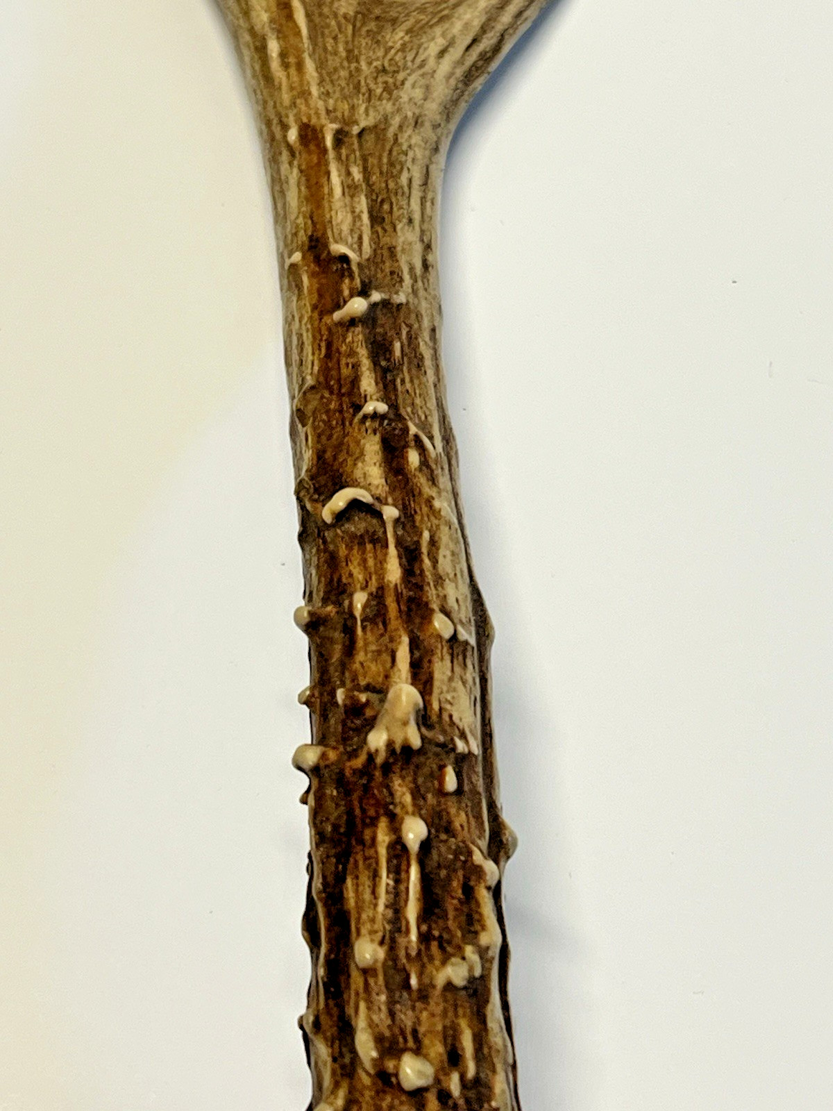 Antique Original Native American Indian Ceremonial Deer Antler Brush;