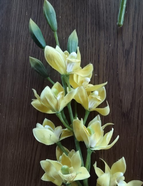 Artificial Dendrobium Orchid stem