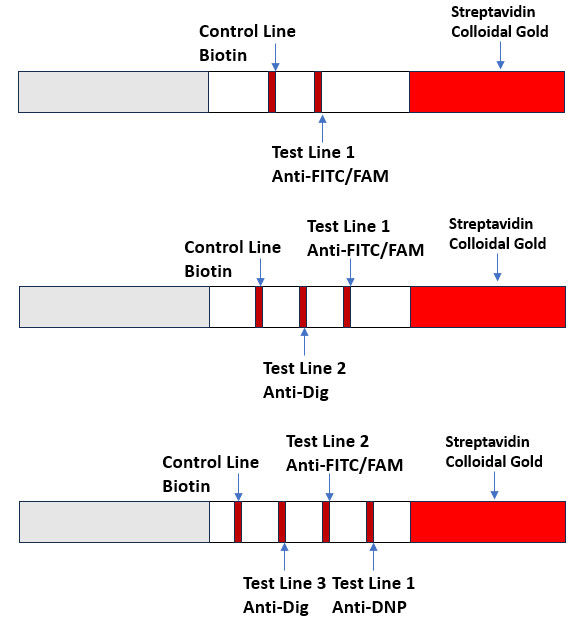 Universal Lateral Flow Assay Single Plex and Multi-Plex Versions (Strep Gold)