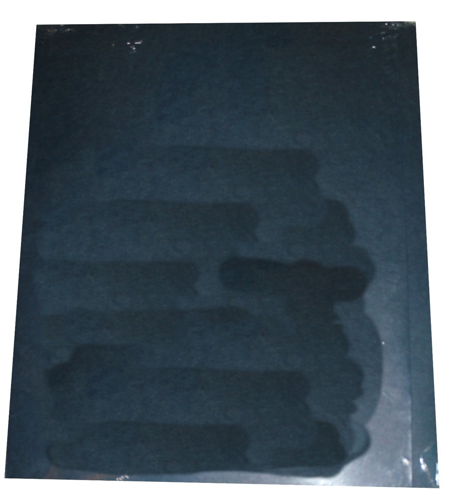 10 Pack Avery 10" wide Extended Edge two Pocket Folder 47750