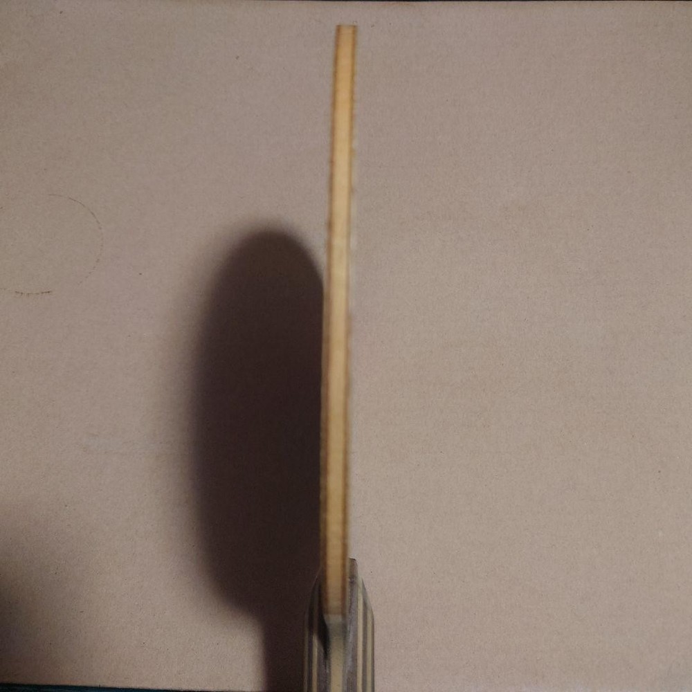 Butterfly Corbel CO Table Tennis Racket