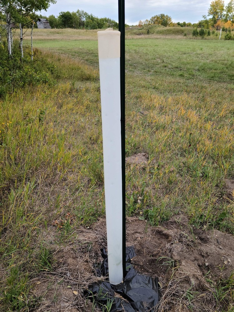 MIRACLE TUBE TREE SHELTERS (5)
