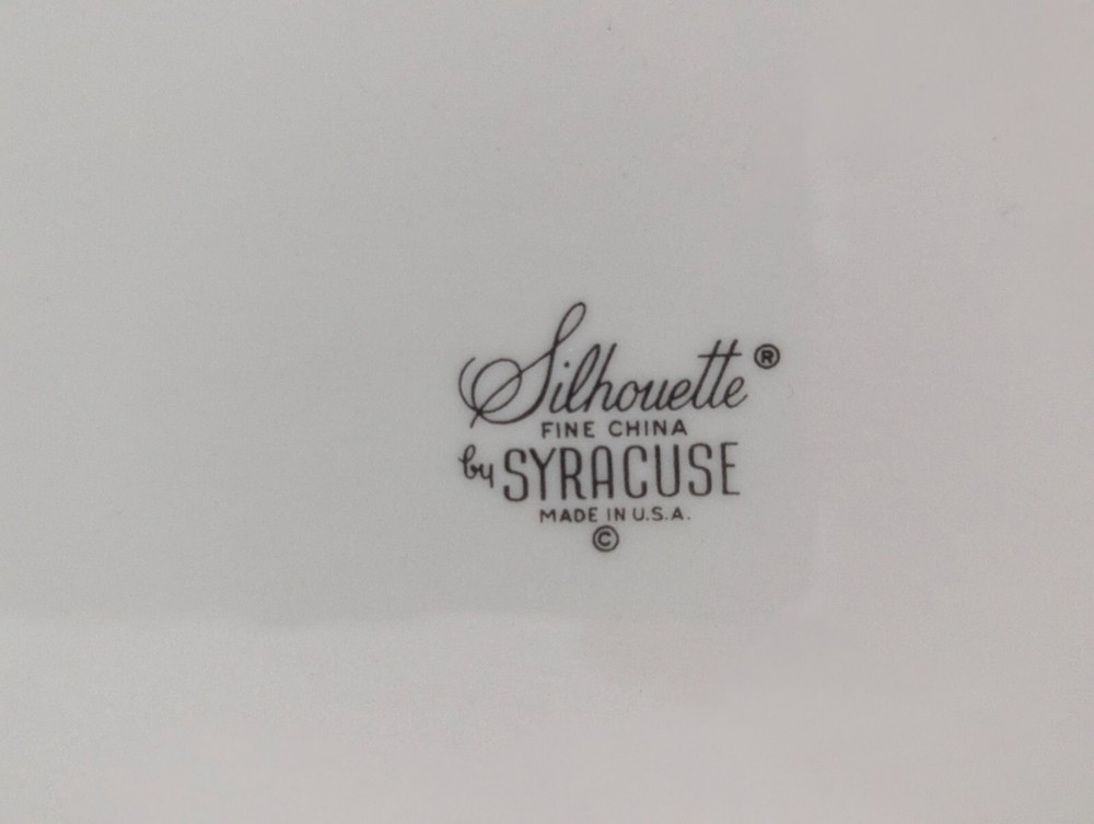 SYRACUSE SILHOUETTE WEDDING RING 5 PC DINNER PLACE SETTING WHITE SILVER LN