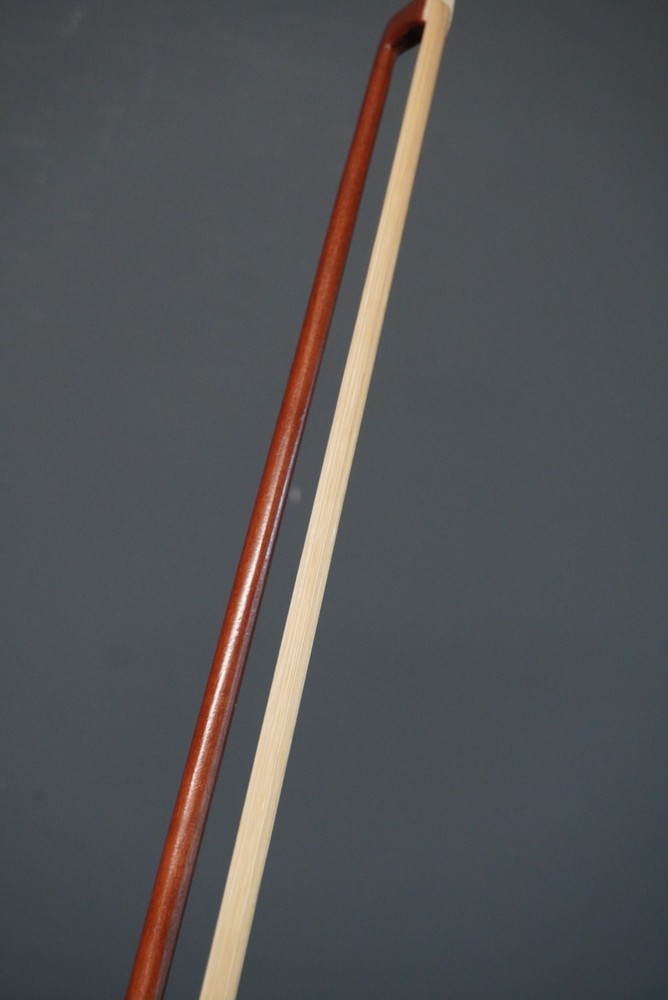 Unlabeled Violin with Case