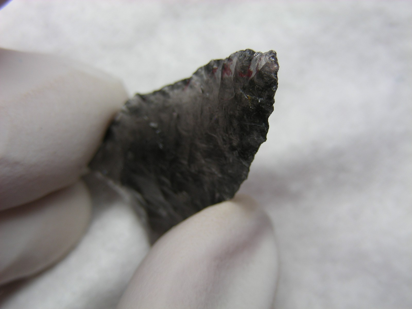 BUCHANAN EARED 1-1/4" NEVADA Authentic Indian Relics