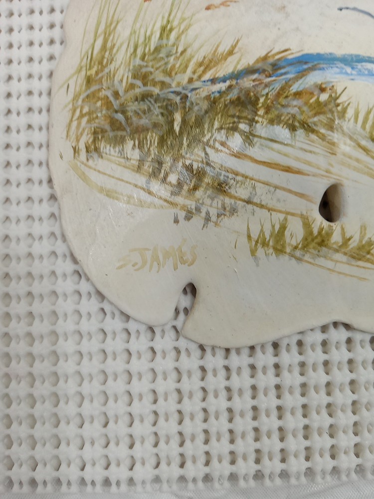 Large Painted Sanddollar
