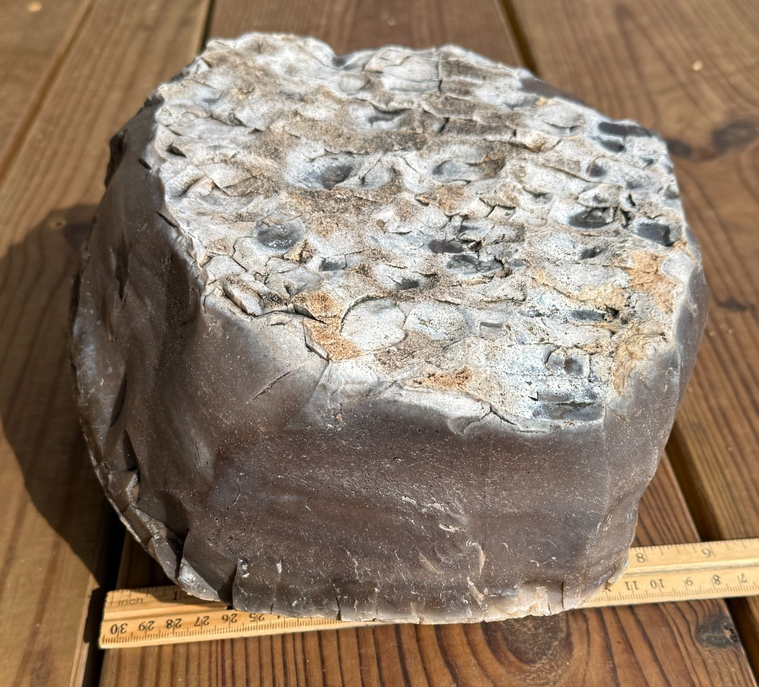 LARGE 30.4 lb Texas Flint Edwards Plateau Chert Nodule Garden City TX Knapping