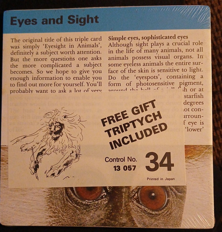 Animal Flash Cards (1976)
