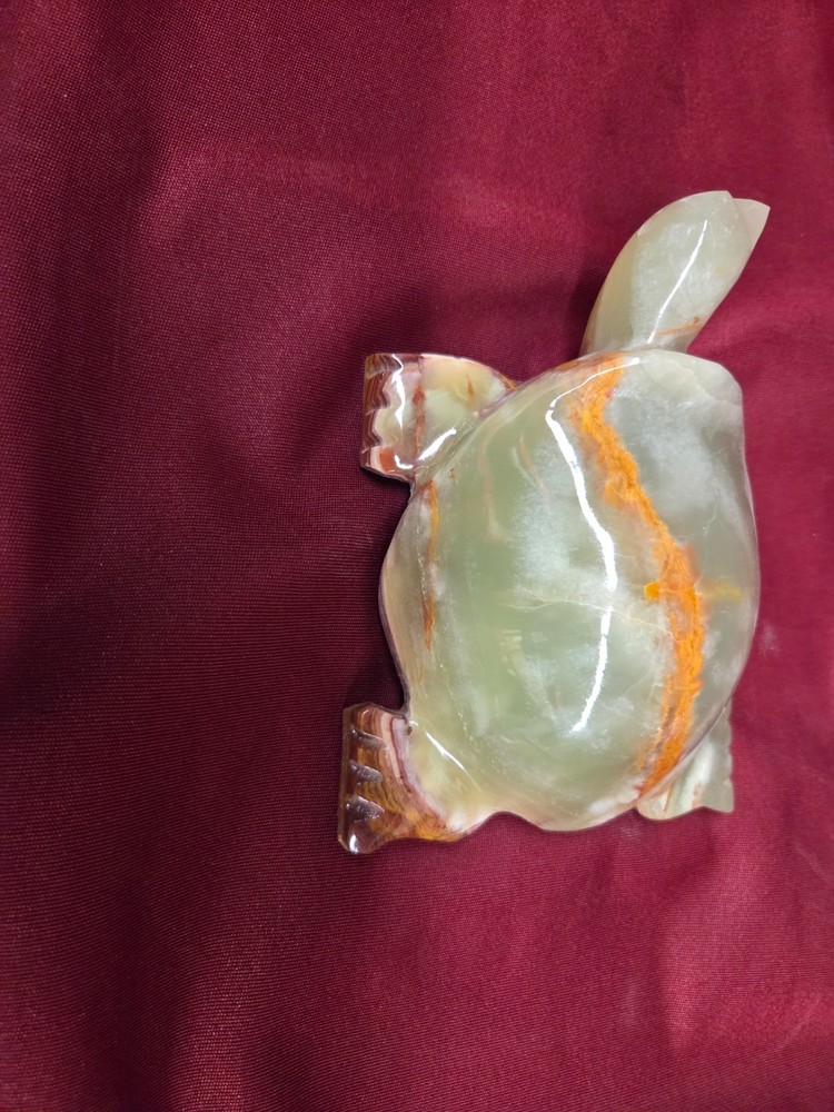 Animal 6 Inch Turtle Onyx-