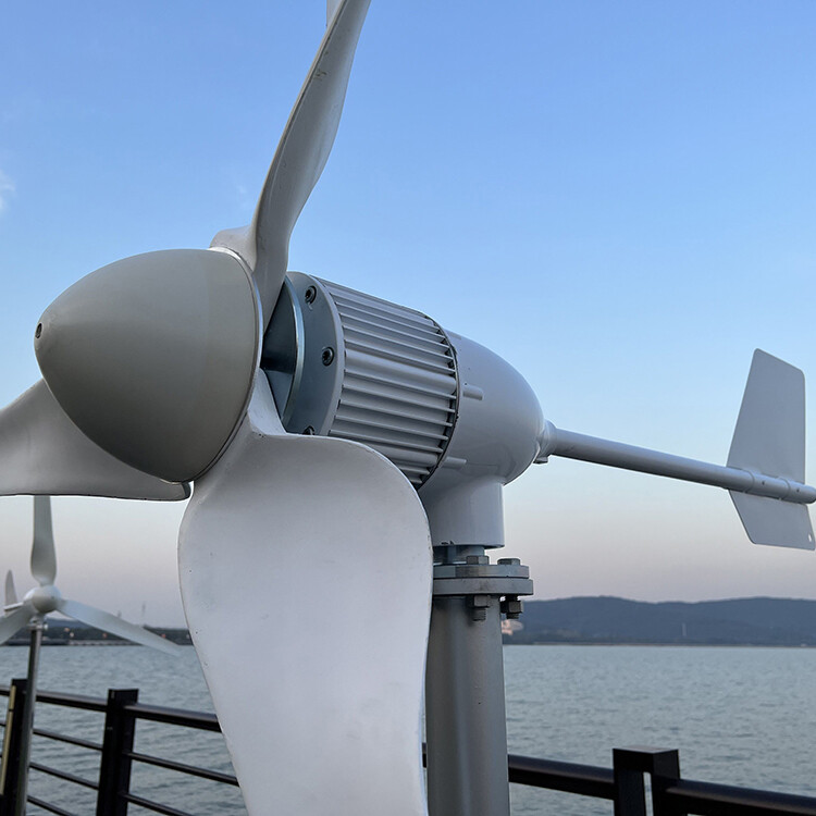 2000W 24V-48V Wind Turbine Windmill Wind Power Generator 2KW & MPPT Controller