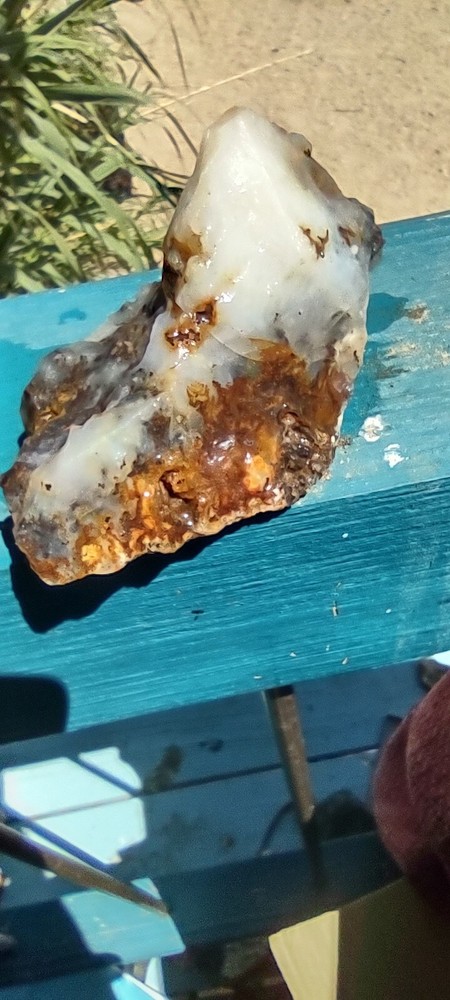 Agate Graveyard Point Specimen Rough Many Possibilities Display Collect