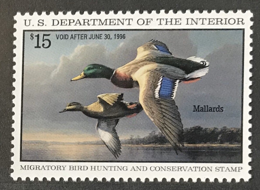 US Sc RW62 Federal Duck MNH