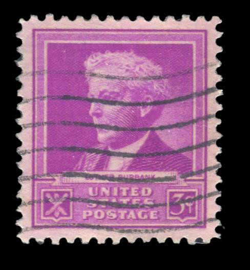 #876 Used, PSE Graded 95, Cert # 01334098