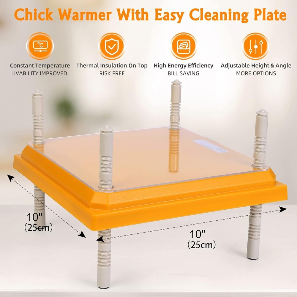 Durable Brooder Heater for Chicks - Height Adjustable & Effortlessly Clean 10x10