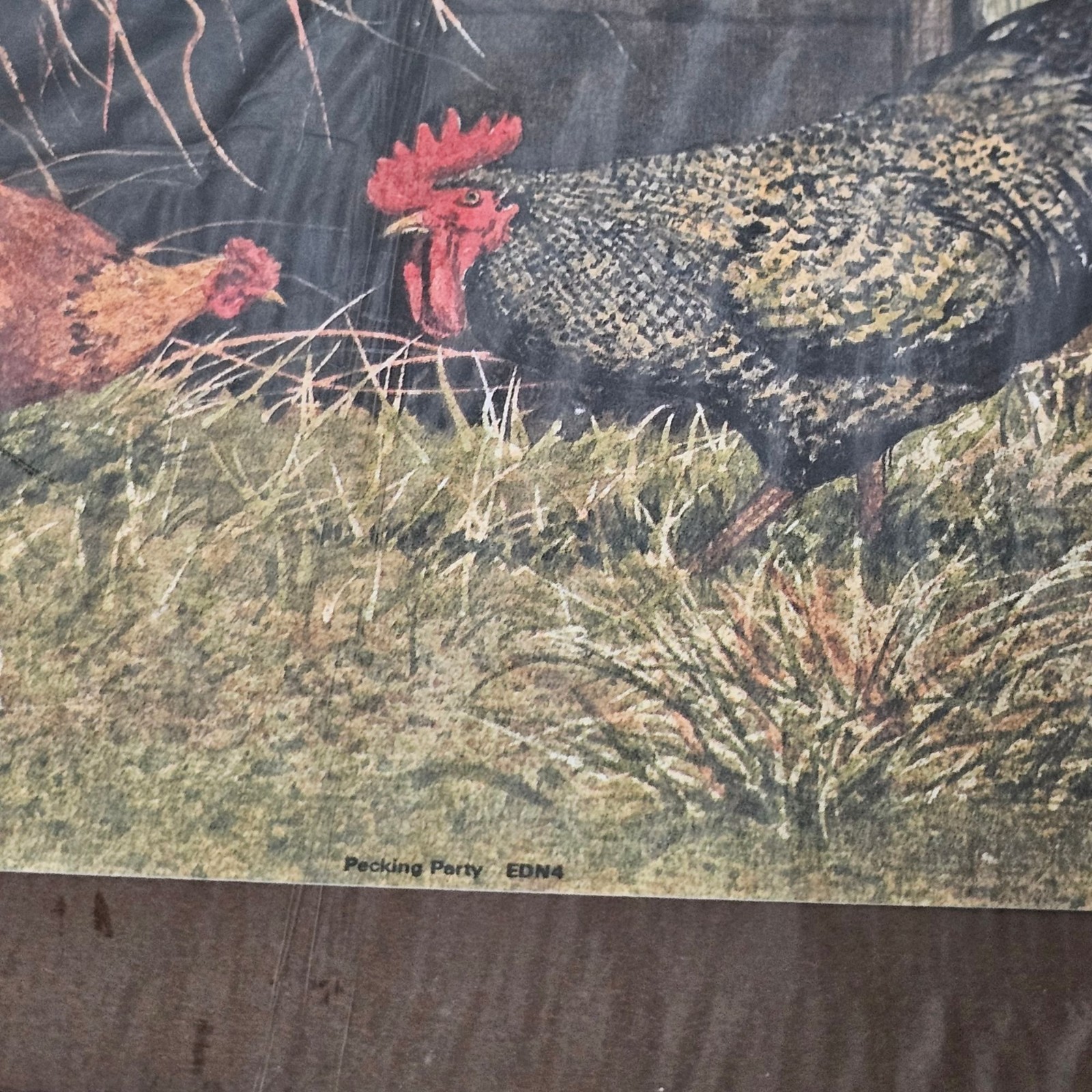 Pecking Party Print By Evelyn Pierson Farmhouse Decor Chicken Rooster 14" x 11"