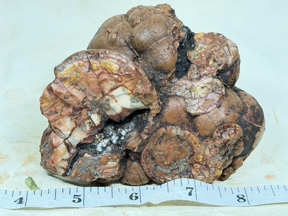 Cold Mountain Jasper Half Nodule, Lot#203