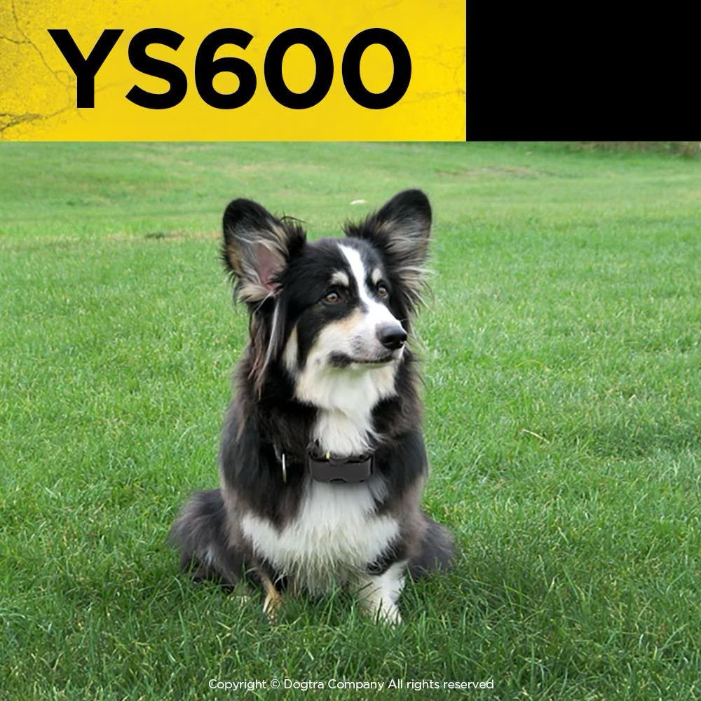 Dogtra YS600 Rechargeable Adjustable No Bark Collar