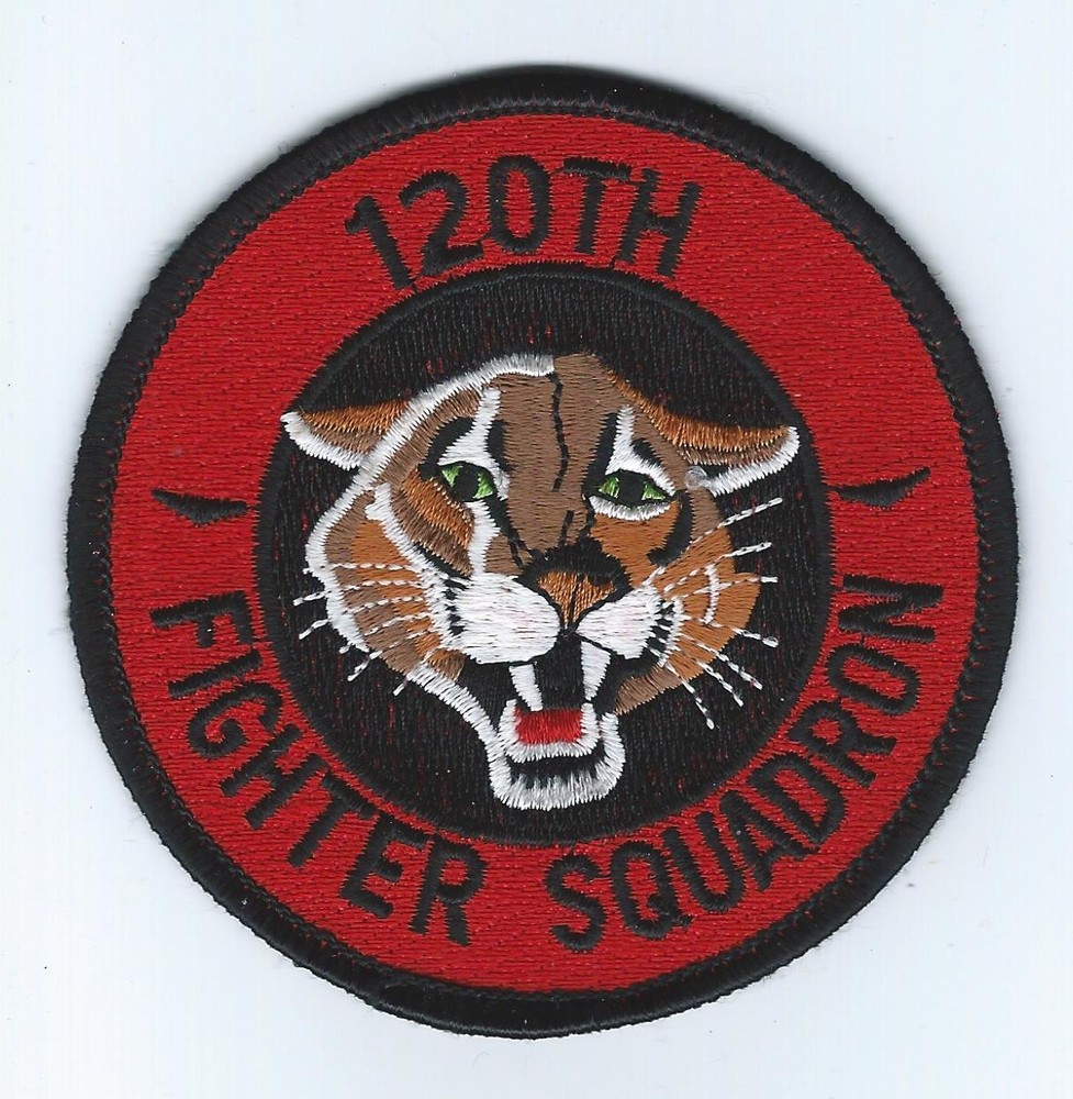 120th FIGHTER SQUADRON patch
