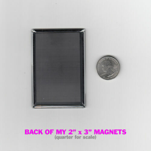 SEX AND THE CITY / SINGLE & FABULOUS? MAGAZINE COVER 2"x3" POSTER MAGNET (carrie