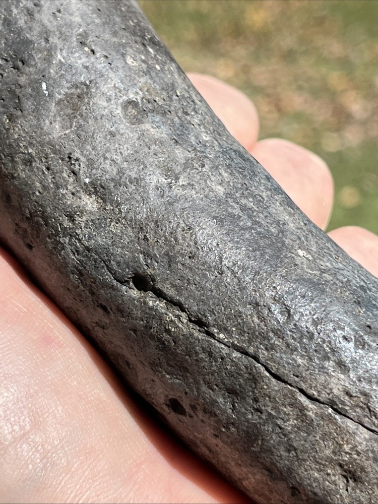 Very Rare Solid Unknown Fossil Segment-Not Modern-read description