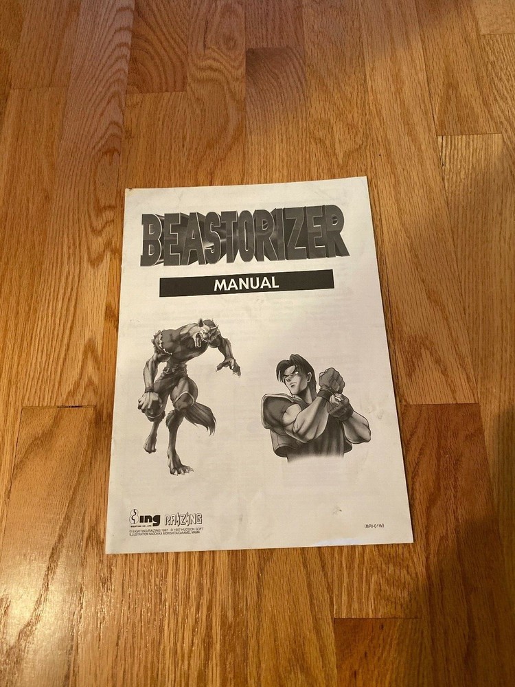 Beastorizer Video Arcade Game Manual, 8ing/Raizing 1997