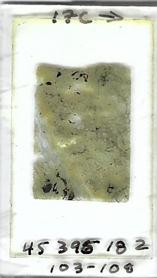 Thin-section Mount from DSDP Hole 395 Petrographic Microscope Slide 45-395-18-2