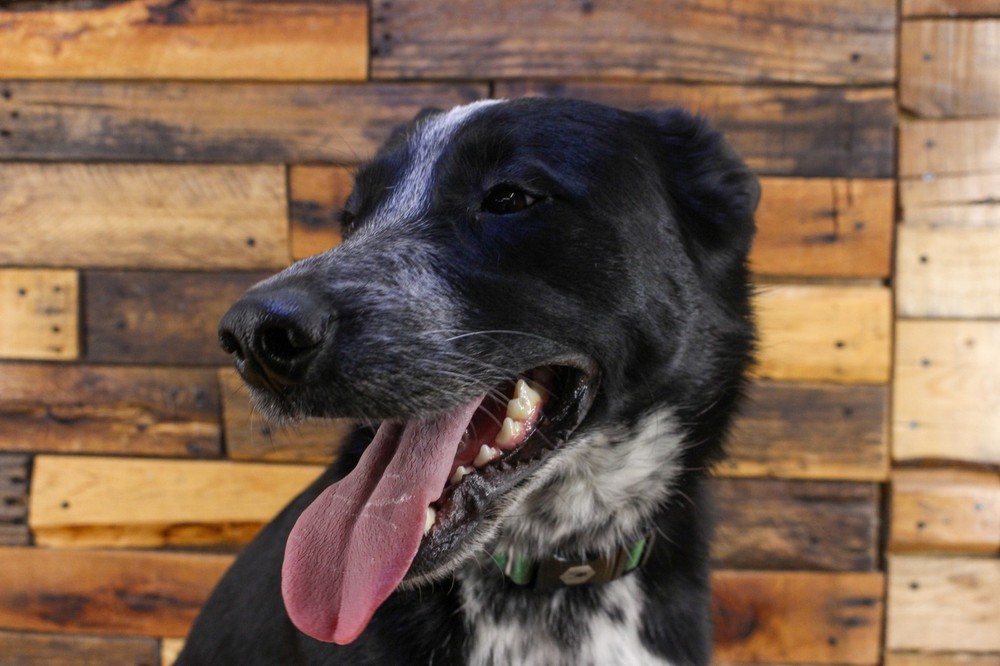 Simmons SD350 Electronic Drum Kit With Mesh Pads MISSING ITEMS