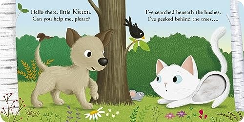 Lost Puppy: A touch-and-feel book
