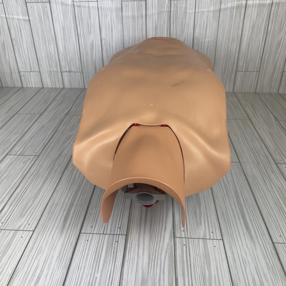 Ambu training CPR Multiman manikin With Hygienic System-BILL