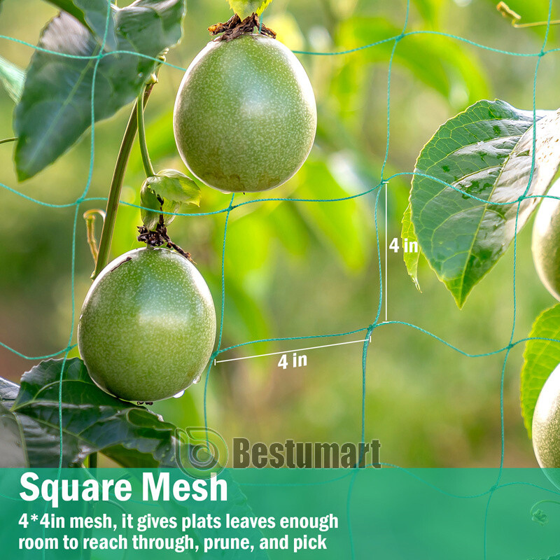 Garden Plant Climbing Net Trellis Netting Mesh Support Fruits Vine Veggie Bean