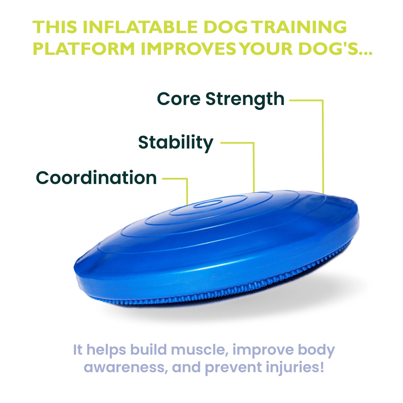 FitPAWS Dog Balance Disc 14" Blue Exercise Workout Tool Strength Core