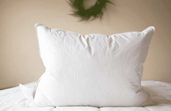 Bioshield EcoSmart Pillow Various Sizes - Customer Return Clearance