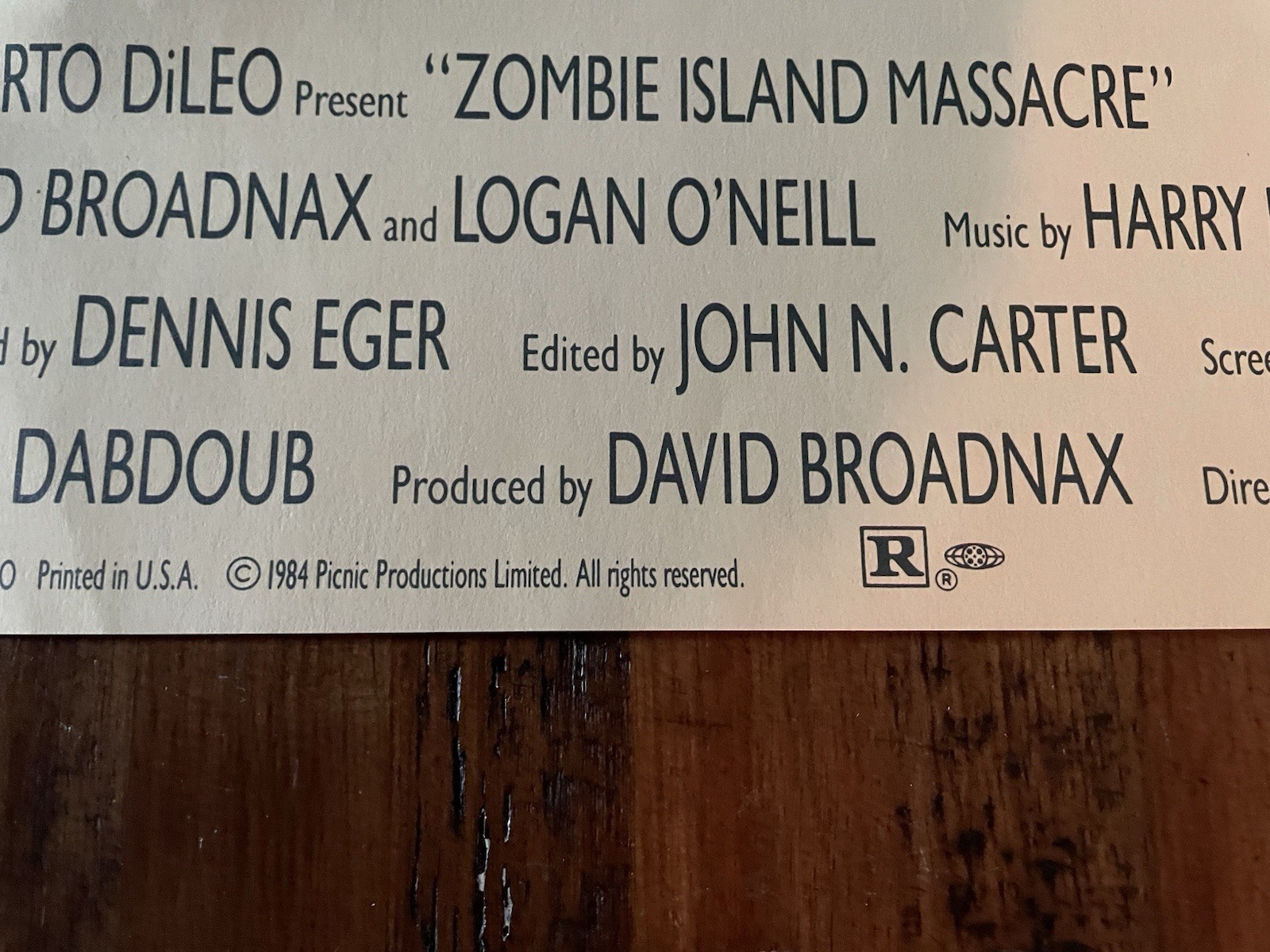 1987 ZOMBIE ISLAND MASSACRE Movie Poster - Horror