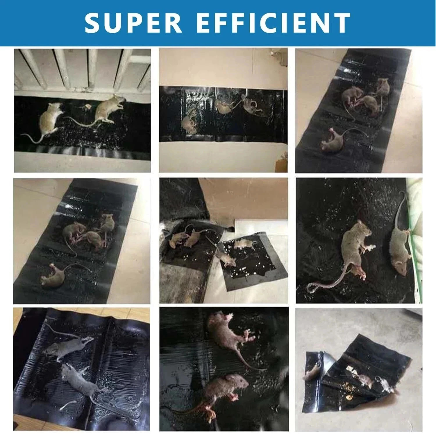 6 Pack Large Mice Mouse Glue Traps Rodent Catcher Rat Board Indoor Super Sticky