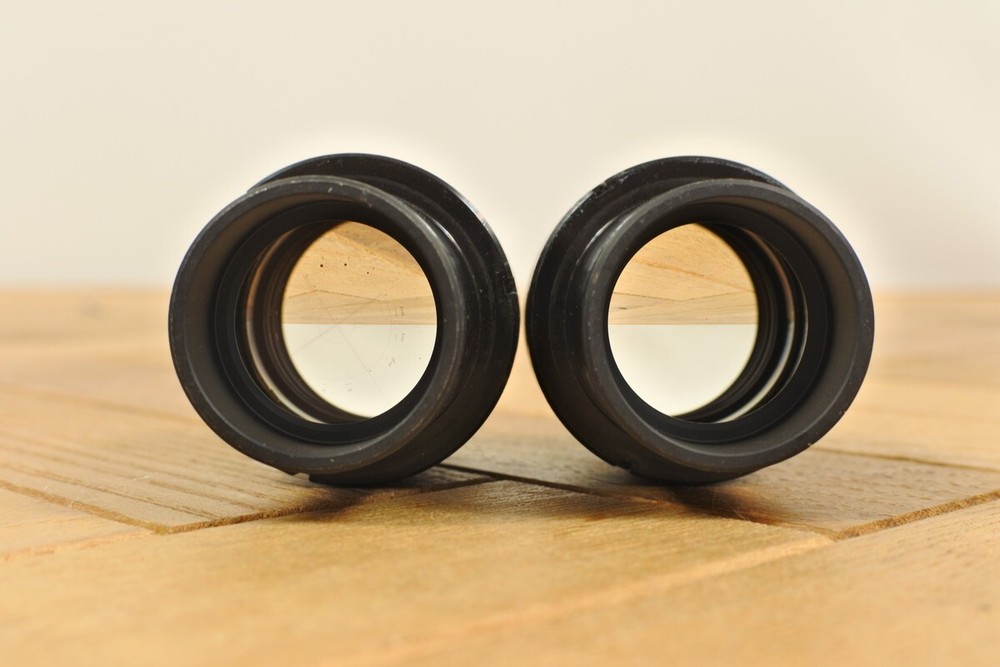 Nikon CFI 10X/22 Microscope Eyepiece Pair for Eclipse, E & I Series from Japan