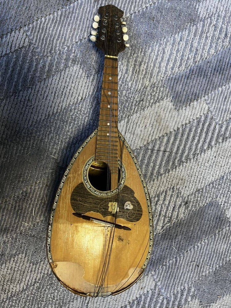 SUZUKI Mandolin