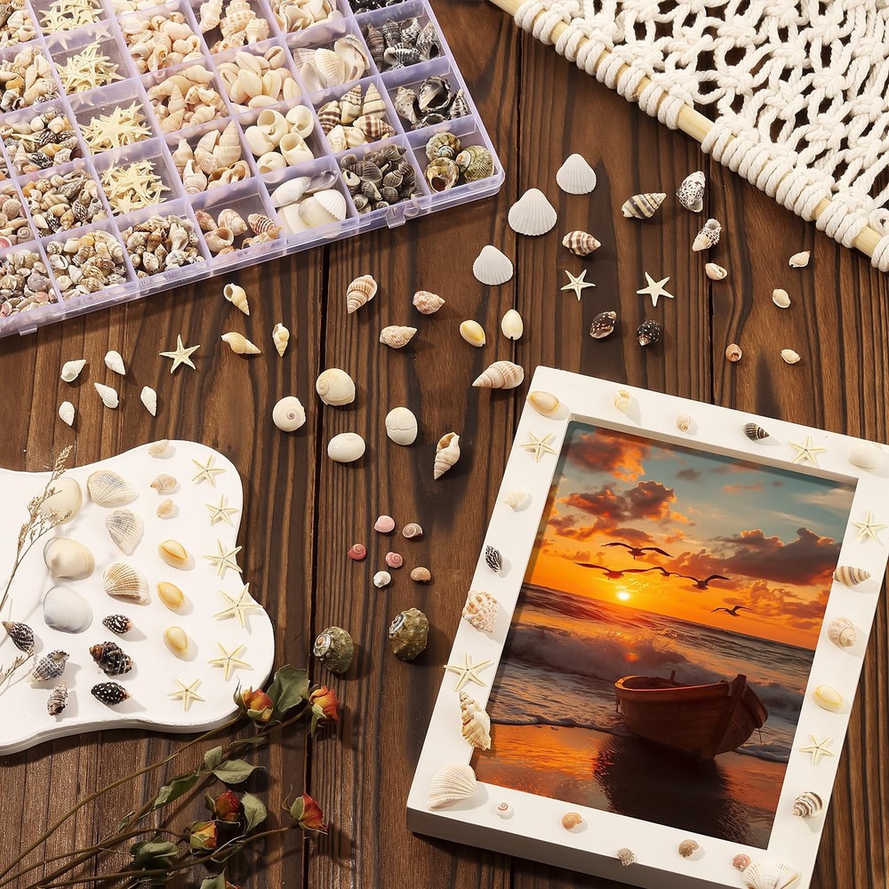 23 Types Small Sea Shells for Crafts, 1200 Pcs Tiny Seashells with Mixed Size