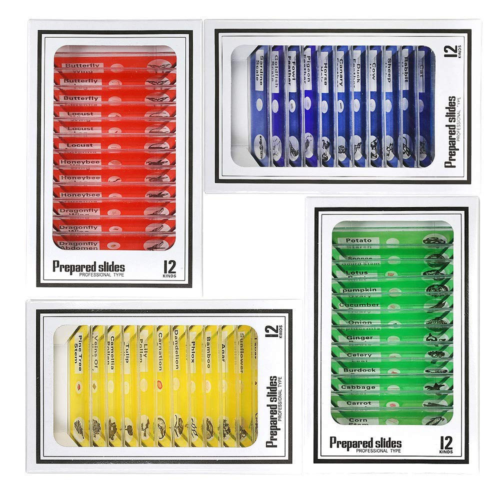 Prepared Microscope Slides Set, 48Pcs Plastic Animals Insects Plants Specimens