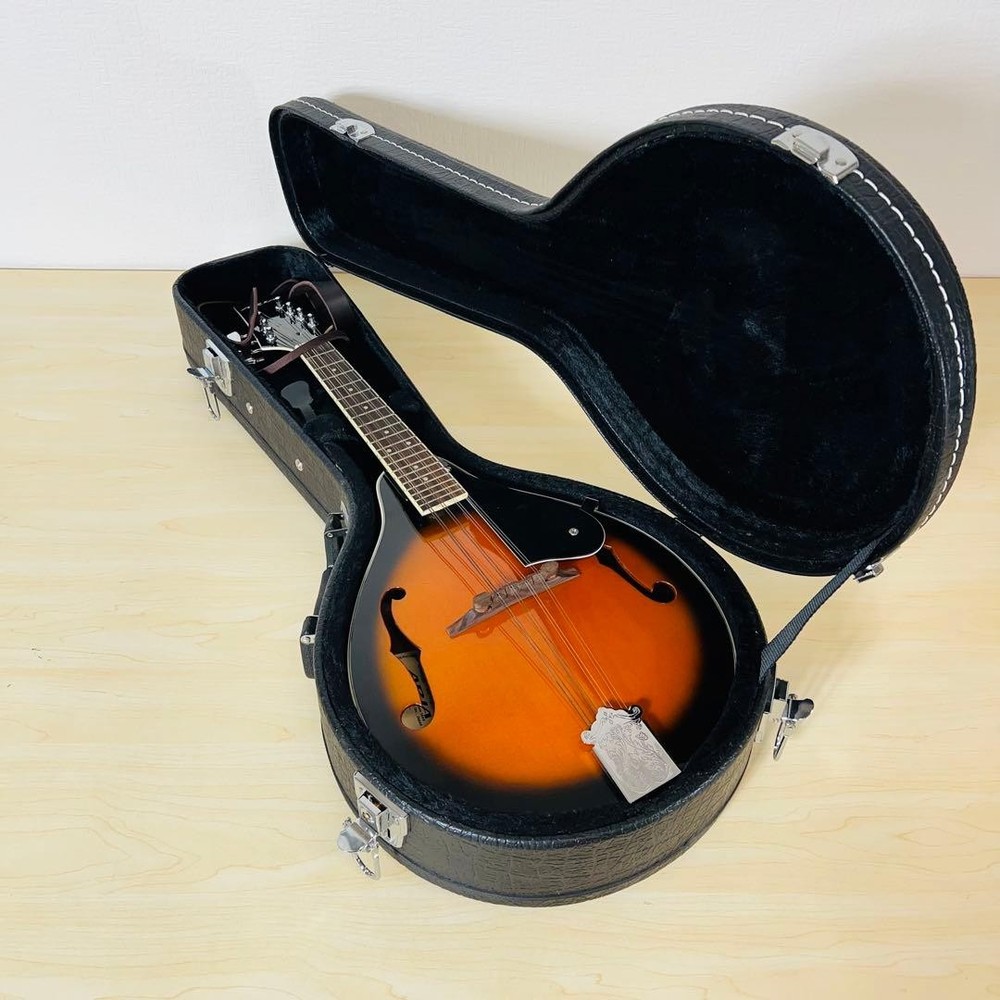 ARIA AM-20 Mandolin 8 string with hard case